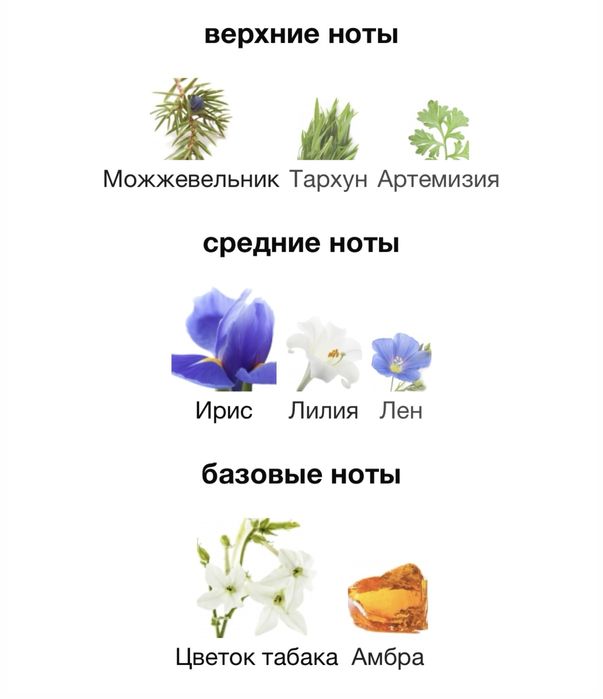 Versace The Dreamer EDT 50 ml