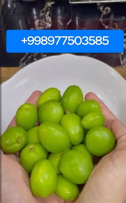 Равоч& Довча& Куксултон