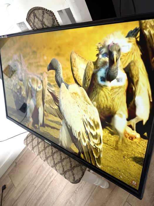 Телевизор хороший