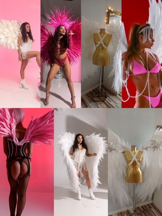 Ангелски крила различни модели