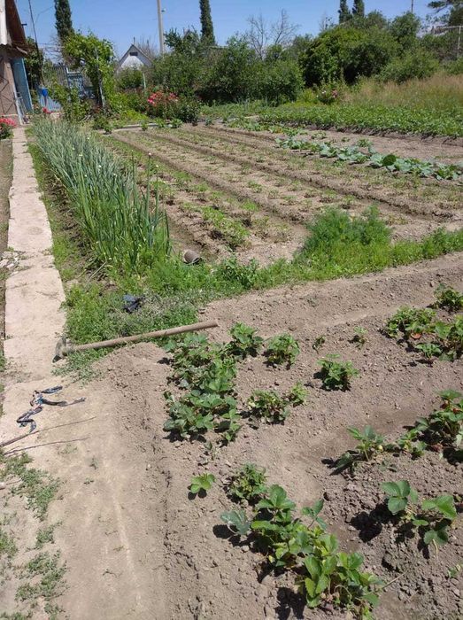 Продается дача срочно