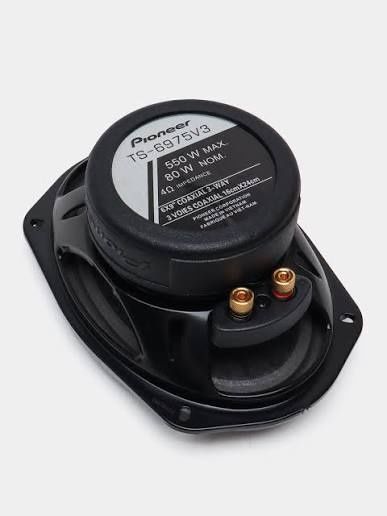 Pioneer Champion v3 550w ideal