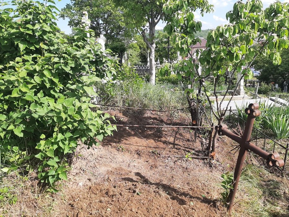2 locuri de veci Cimitirul Sf. Vasile