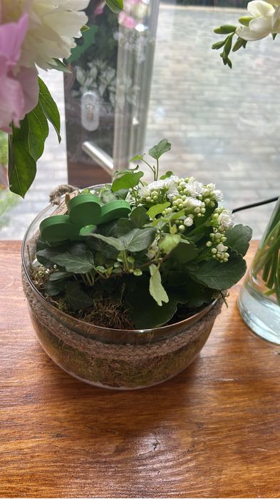 Creez boluri cu plante vii