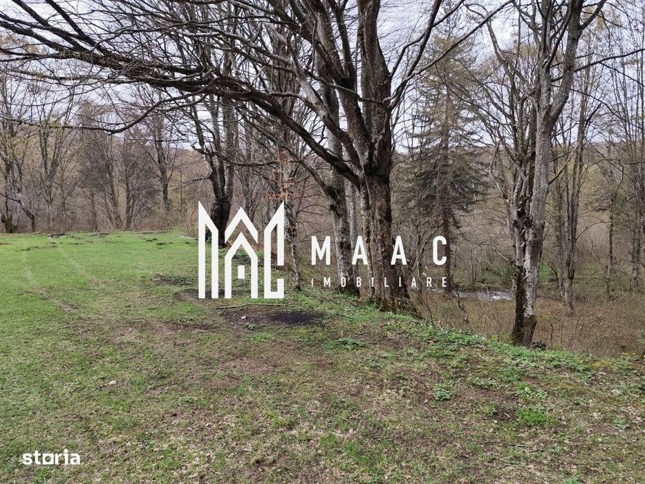 Teren Intravilan | 2000Mp |  Valea Avrigului