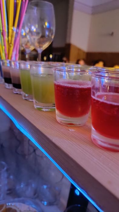 Cocktail bar/ Barman Caracal/ Barman Olt