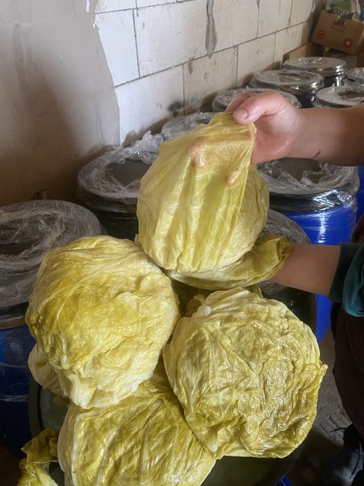 Castraveti murati si varza murata de vanzare