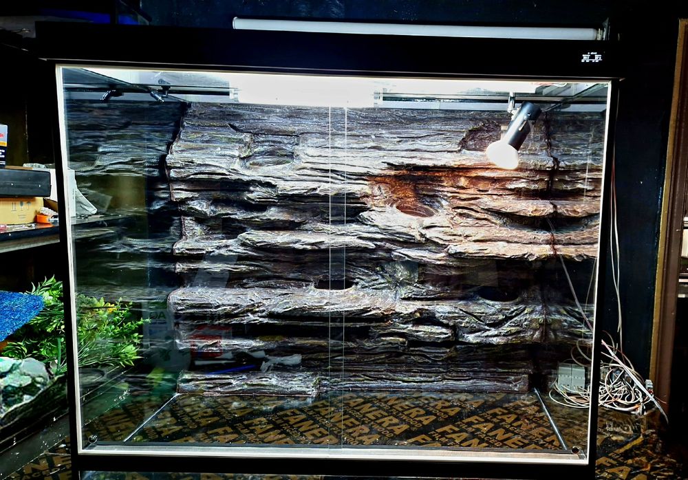 Террариум для рептилий