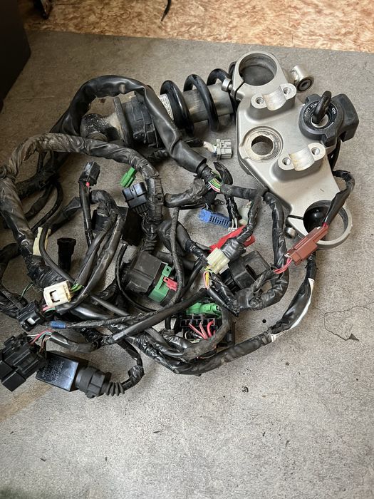 honda hornet на части