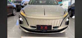 Hongqie E-QM5 610km pod zakaz