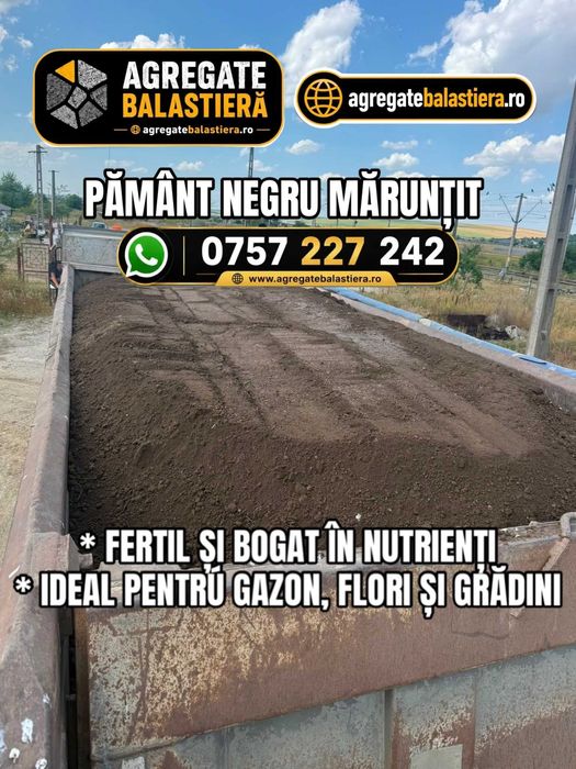 PAMANT NEGRU / Vegetal CERNUT SI MARUNTIT Livrare in IASI si imprejurimi