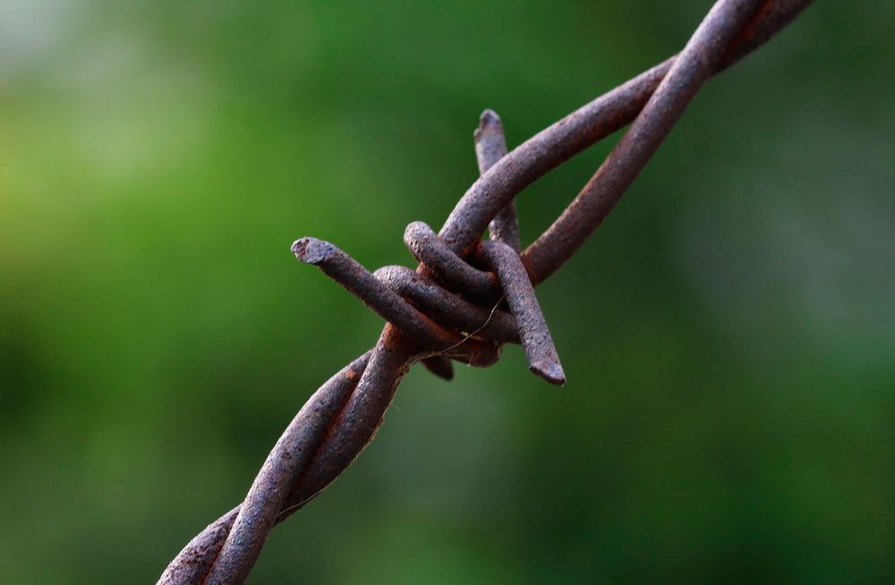 Колючая проволока стальной