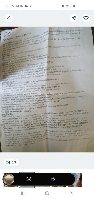 Ciuperca de kefir si ciuperca de Kombucha