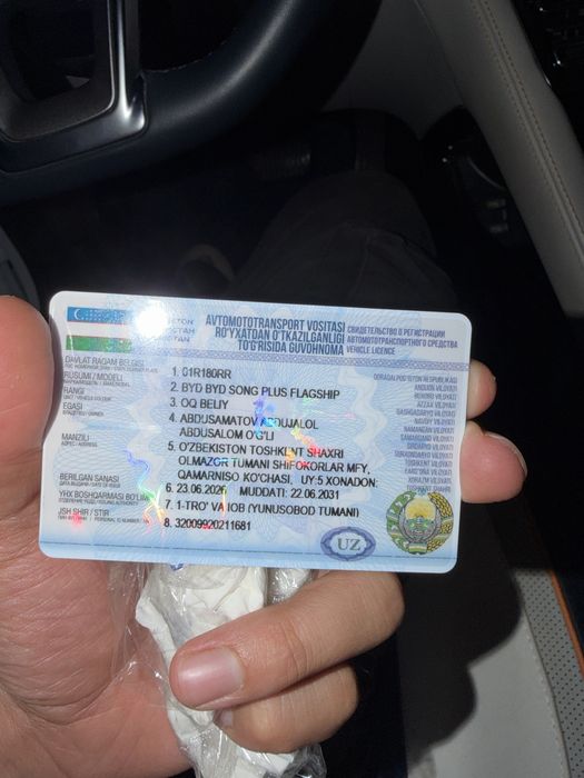Byd somg plus 2022