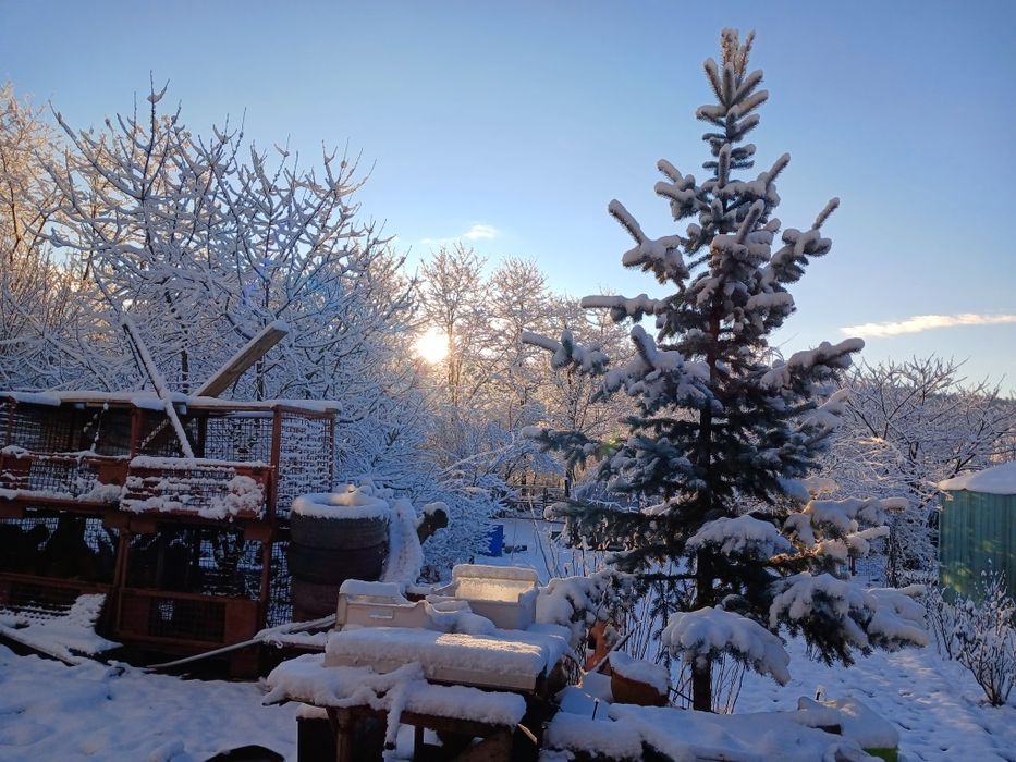 Casa si teren de vanzare