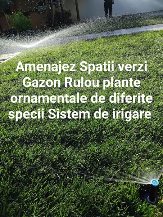 Gazon Rulou Insamantare și Sistem de irigații