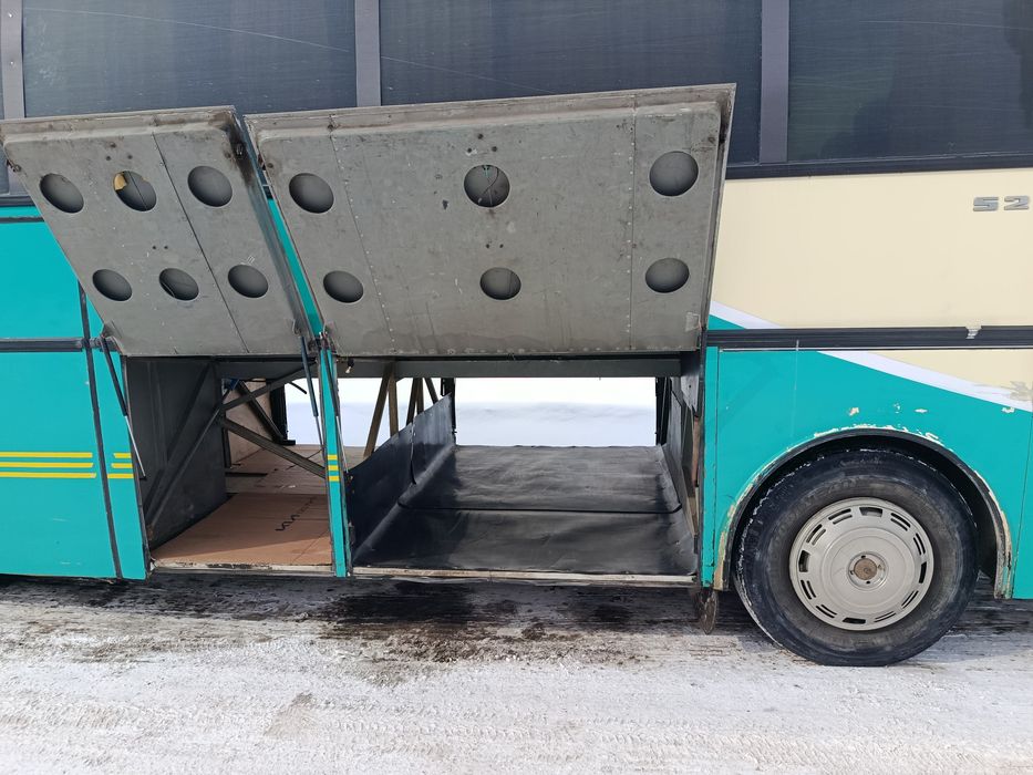 Автобус на заказ