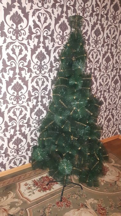 Ёлка жағдайы жақсы