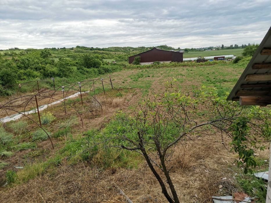 Casa de vanzare in Filiasi judetul Dolj - teren 1800 mp