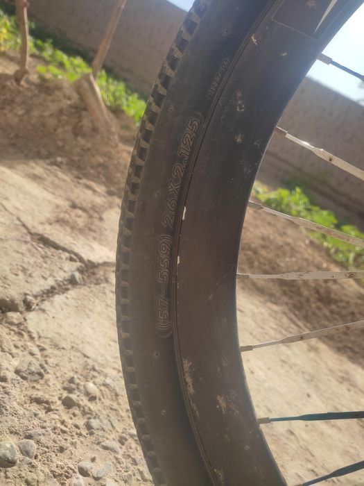 Велосипед идеалний келишамизиз карши туман