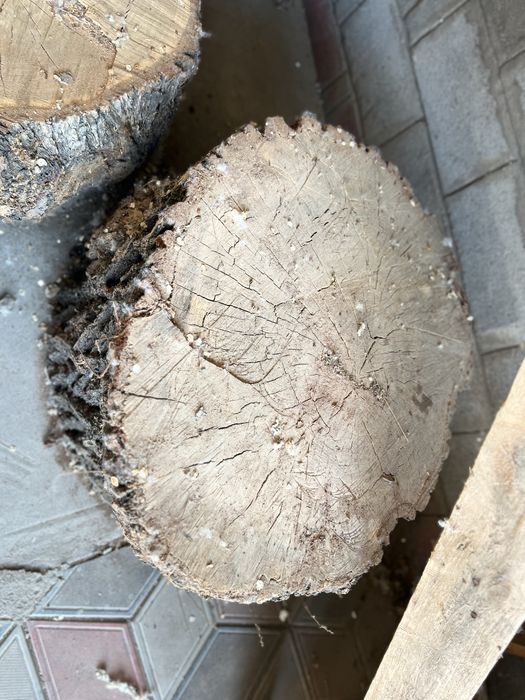 Два пенька для рубки мяса