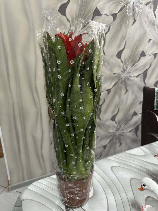 Цветы 8 марта от 3000