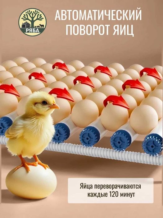 Инкубатор для яиц, автоматический, цифровой дисплей, с переворотом,