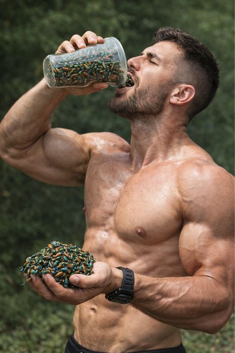 Алтын қоңыз емдік қоңыз