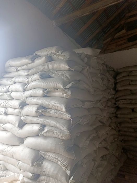 Бидай /Пщеница 45кг