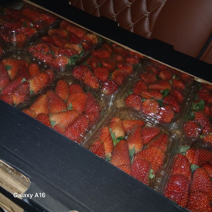 Клубника свежие Египет