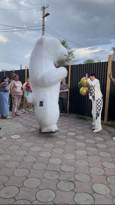 Поздравления от мишки Умки. Праздники. Аниматоры