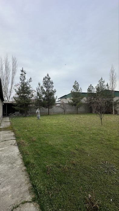 Зангиота тумани, Токзор, Камчатка маҳалласида Ер сотилади