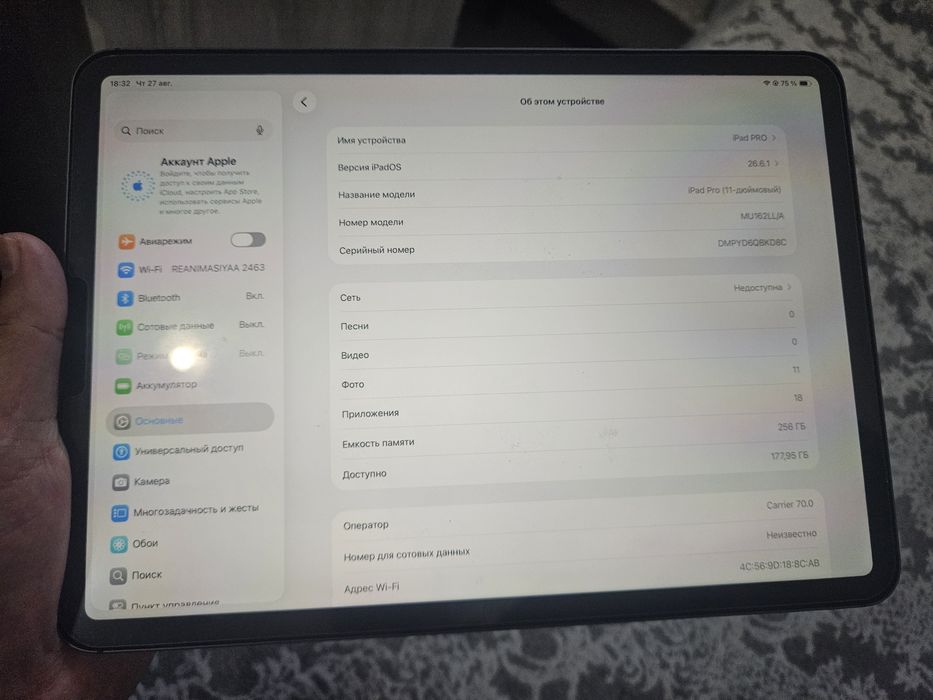 Ipad pro 11 256 GB wifi+sim