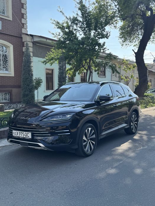 Byd champion dm-i hybrid 2024 kraska toza