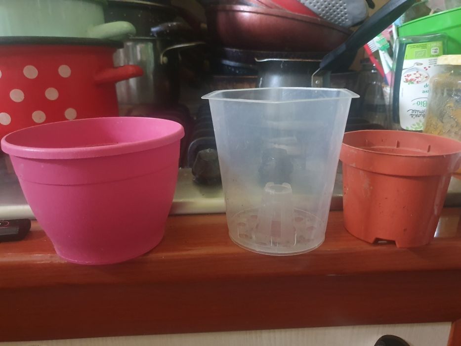 Ghivece de flori mai mari si un cos plastic pentru gunoi