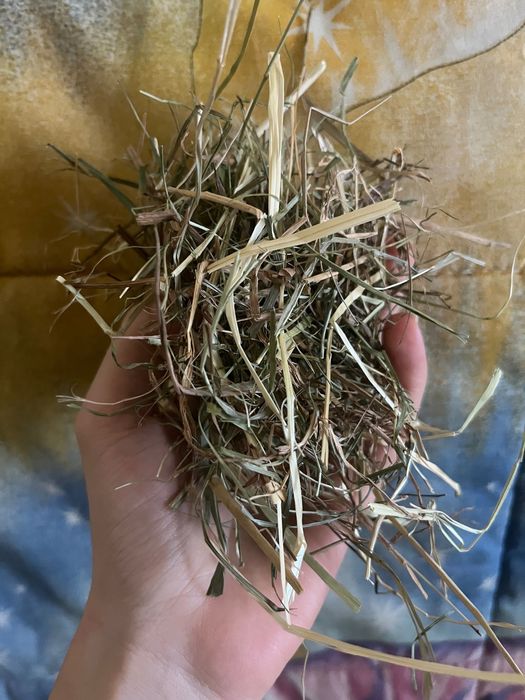 Сено/ Люцерна/ Микс храна за малки и големи зайчета