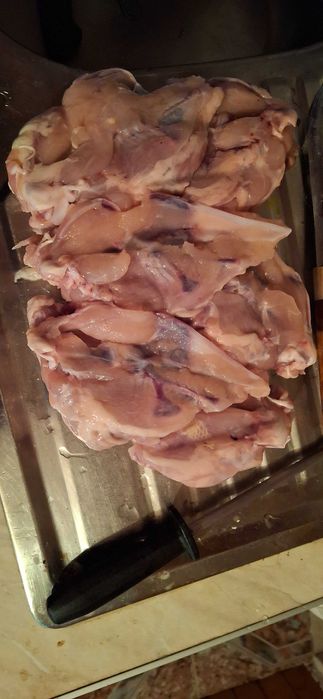 Пилешки фенер за животни