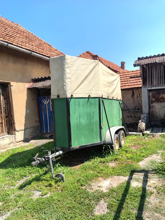 vând remorca pt carat cai