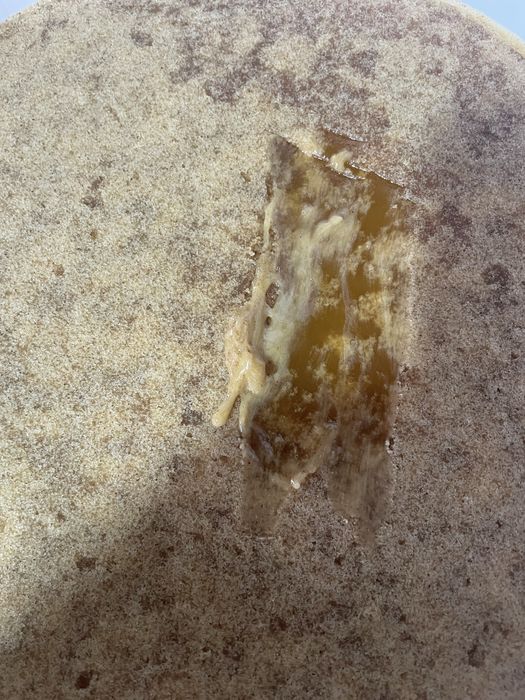 Miere poliflora cu mană