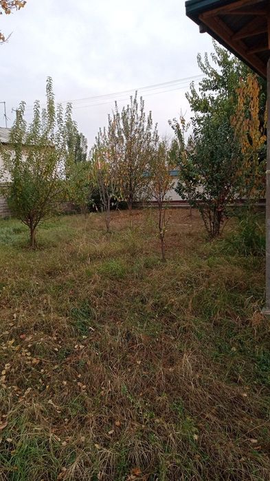 Продаётся Дача в районе ТашМоре