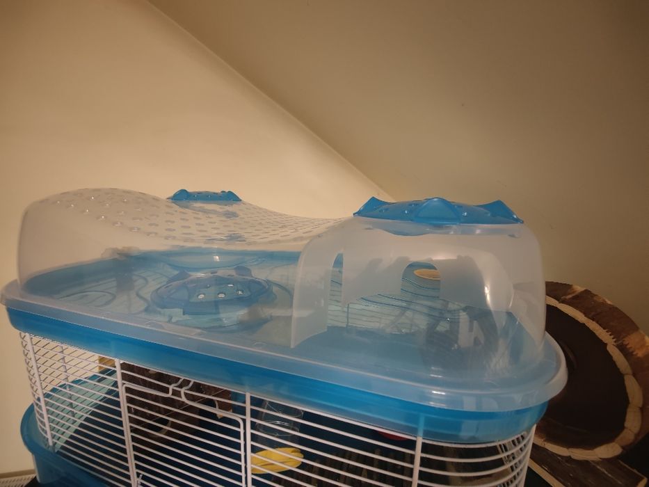 Cusca hamster 2 nivele