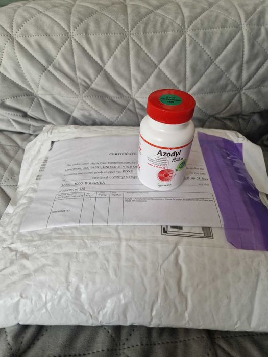 Азодил - добавка за хронична бъбречна недостатъчност