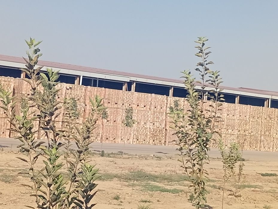 Sifatli xamyonbop g'ishtlar