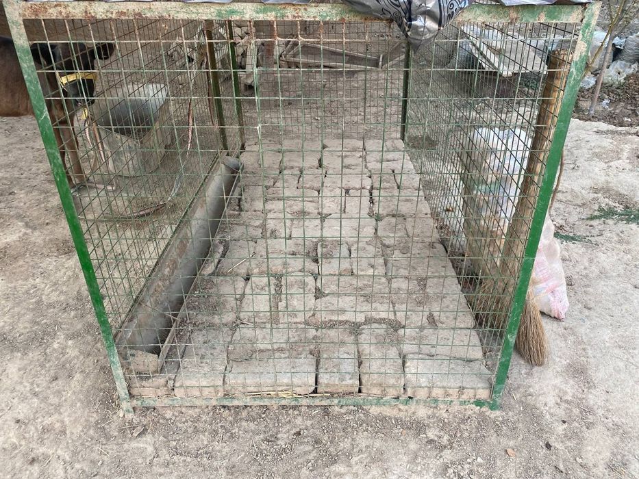 Товук катак (сетка)