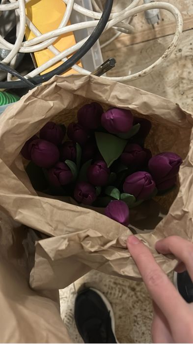 Тюльпаны голландские