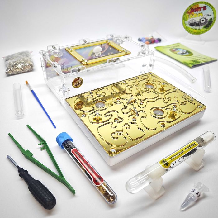 ГИПСОВЫЙ Формикарий "ADVANCED" ||| Муравьиная ферма - Муравьи жнецы