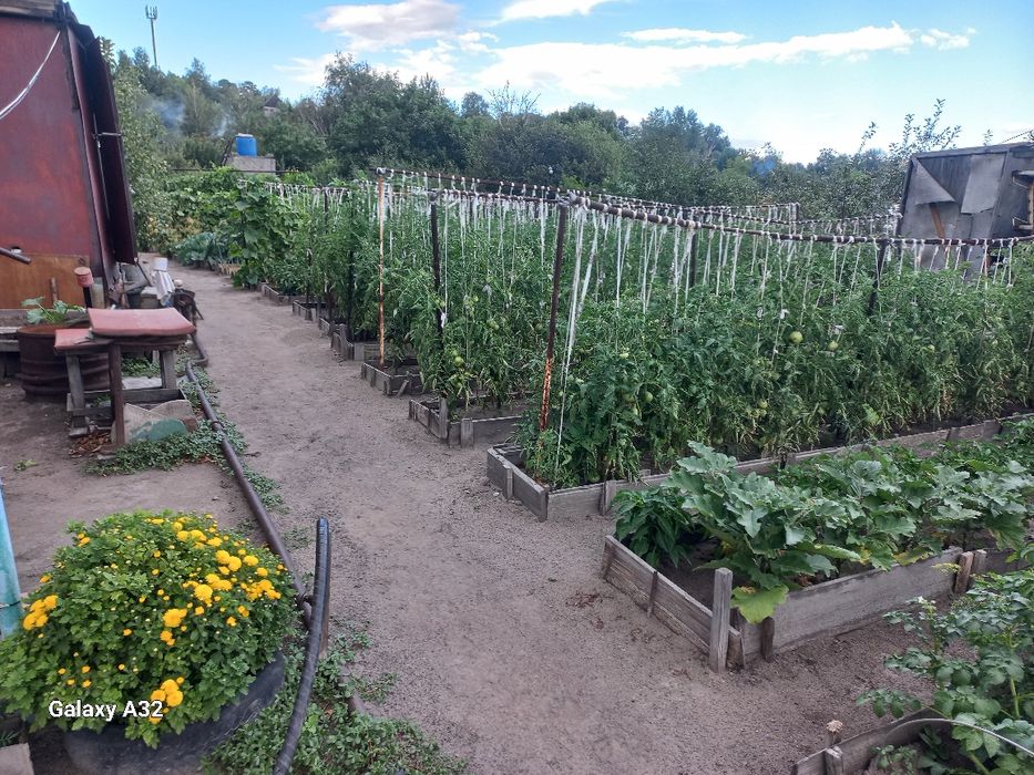 Продам дачу на Мирном