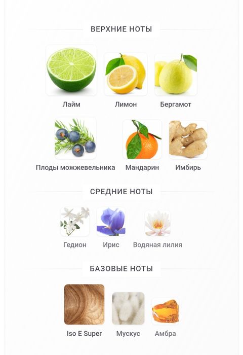 Escentric Molecules Cologne One парфюм новинка