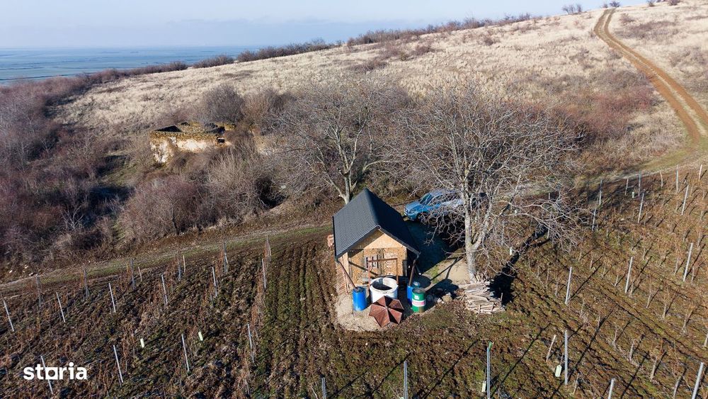 Vita-de-vie Premium  teren de 6800 mp în Covăsinț