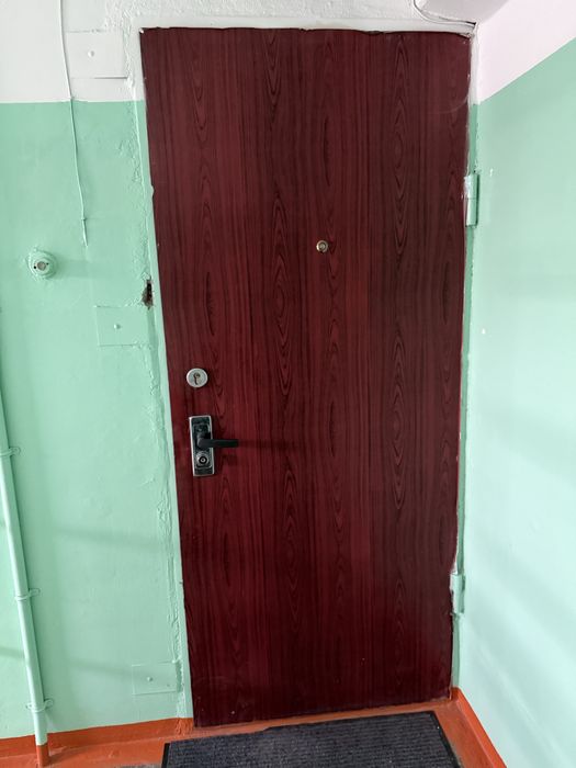 Железная входная Дверь